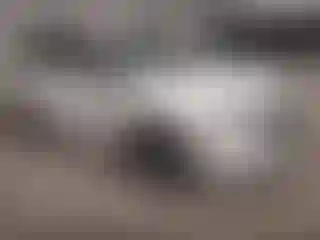 Vehicle Image- 2024 Honda Odyssey