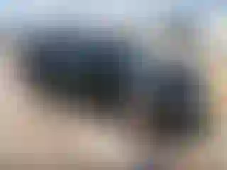 Vehicle Image- 2022 Honda Odyssey