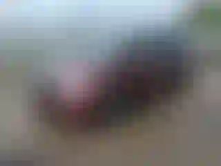 Vehicle Image- 2021 Honda Odyssey