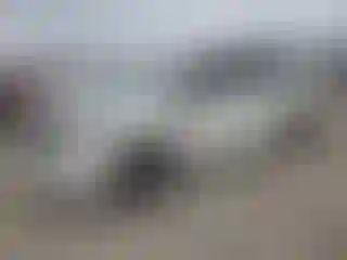 Vehicle Image- 2019 Honda Odyssey