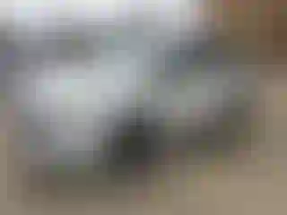 Vehicle Image- 2019 Honda Odyssey