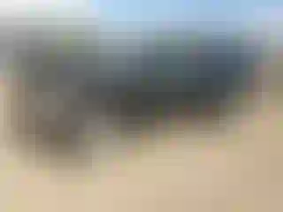 Vehicle Image- 2006 Honda Pilot