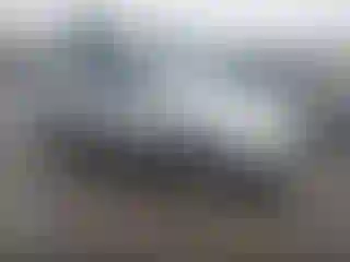 Vehicle Image- 2008 Honda Pilot