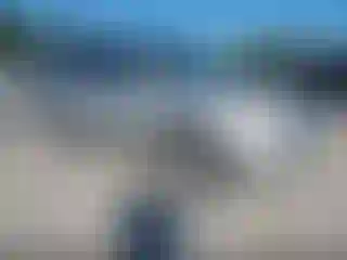 Vehicle Image- 2008 Honda Pilot