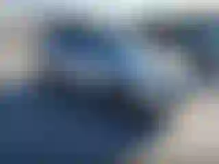 Vehicle Image- 2008 Honda Pilot