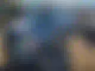 Vehicle Image- 2005 Honda Pilot