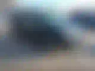 Vehicle Image- 2004 Honda Pilot