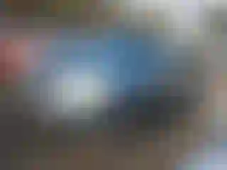 Vehicle Image- 2005 Honda Pilot