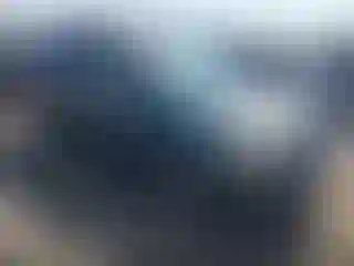 Vehicle Image- 2004 Honda Pilot