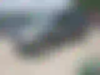 Vehicle Image- 2008 Honda Pilot
