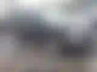 Vehicle Image- 2005 Honda Pilot