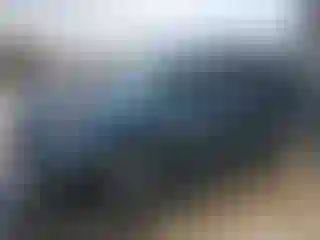 Vehicle Image- 2006 Honda Pilot