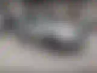 Vehicle Image- 2008 Honda Pilot