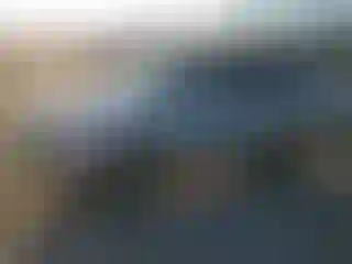 Vehicle Image- 2007 Honda Pilot