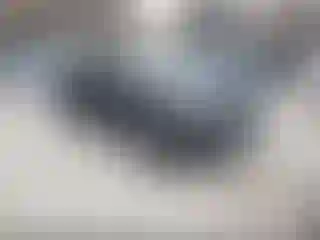 Vehicle Image- 2007 Honda Pilot