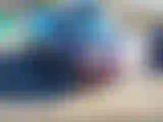 Vehicle Image- 2008 Honda Pilot