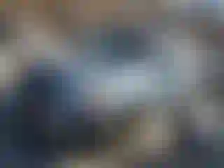 Vehicle Image- 2005 Honda Pilot