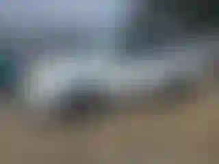 Vehicle Image- 2005 Honda Pilot