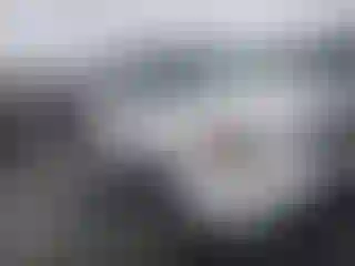 Vehicle Image- 2008 Honda Pilot