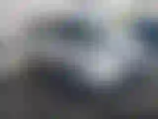 Vehicle Image- 2008 Honda Pilot