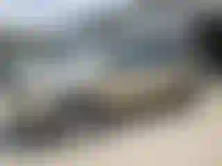 Vehicle Image- 2006 Honda Pilot