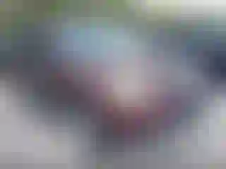 Vehicle Image- 2007 Honda Pilot