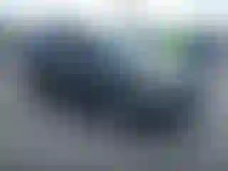 Vehicle Image- 2007 Honda Pilot