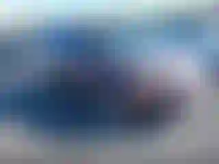 Vehicle Image- 2008 Honda Pilot