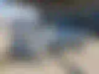 Vehicle Image- 2008 Honda Pilot