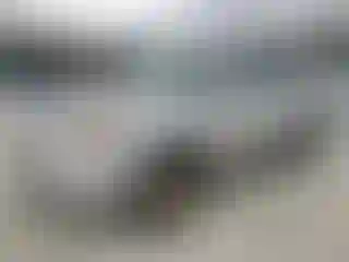 Vehicle Image- 2008 Honda Pilot