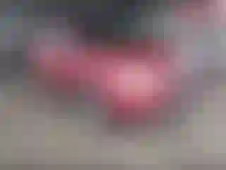 Vehicle Image- 2006 Honda Pilot