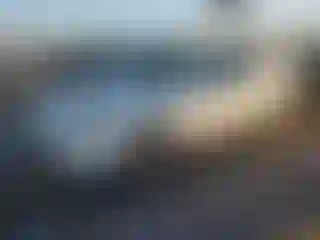 Vehicle Image- 2006 Honda Pilot