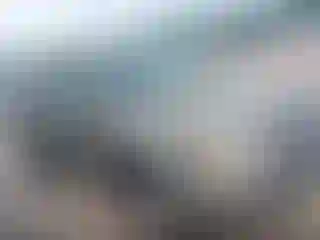 Vehicle Image- 2008 Honda Pilot