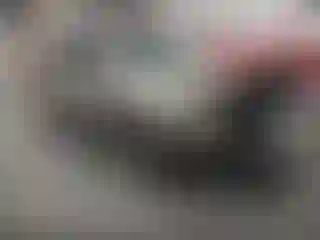 Vehicle Image- 2006 Honda Pilot