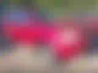 Vehicle Image- 2006 Honda Pilot