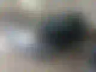 Vehicle Image- 2006 Honda Pilot