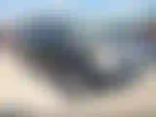 Vehicle Image- 2006 Honda Pilot