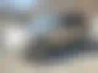Vehicle Image- 2006 Honda Pilot