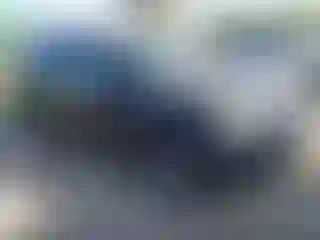 Vehicle Image- 2006 Honda Pilot