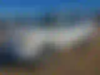 Vehicle Image- 2008 Honda Pilot