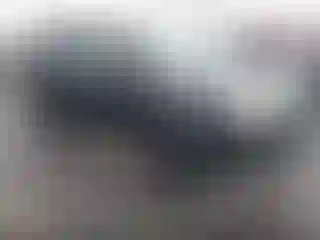 Vehicle Image- 2006 Honda Pilot