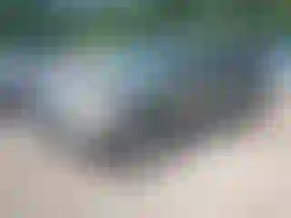 Vehicle Image- 2007 Honda Pilot