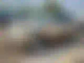 Vehicle Image- 2006 Honda Pilot