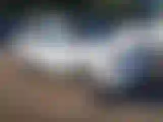 Vehicle Image- 2008 Honda Pilot