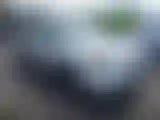 Vehicle Image- 2006 Honda Pilot