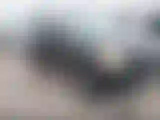 Vehicle Image- 2008 Honda Pilot