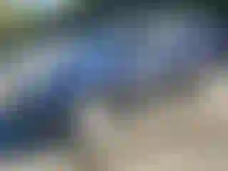 Vehicle Image- 2013 Honda Pilot