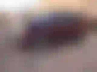 Vehicle Image- 2014 Honda Pilot