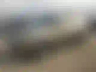 Vehicle Image- 2011 Honda Pilot