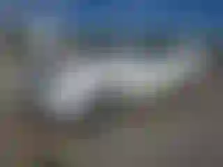 Vehicle Image- 2011 Honda Pilot